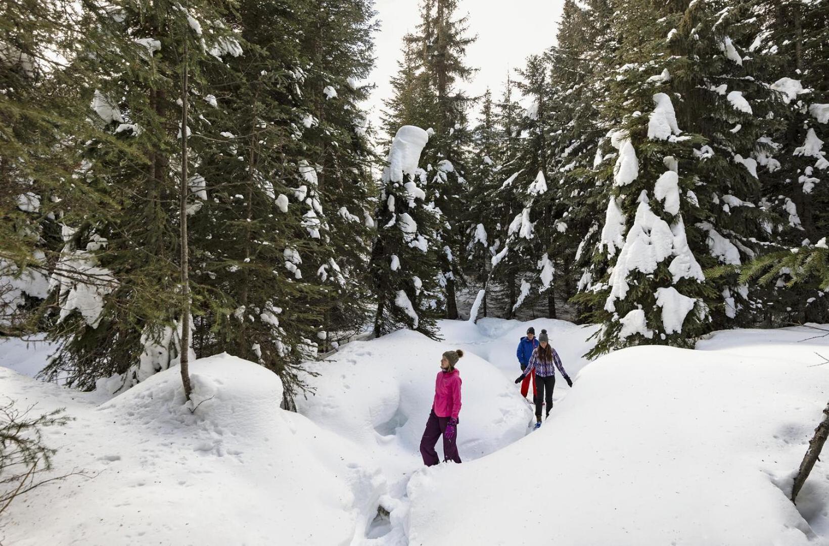 Soleil Chalet By Bear Country Sun Peaks Zimmer foto